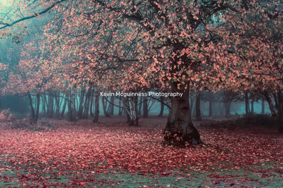Kevin Mcguinness Photography