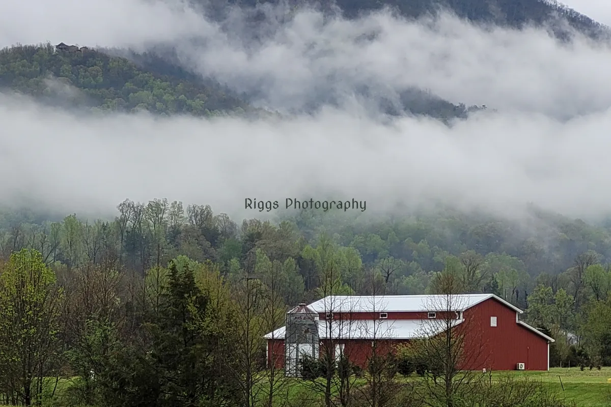 Riggs Photography