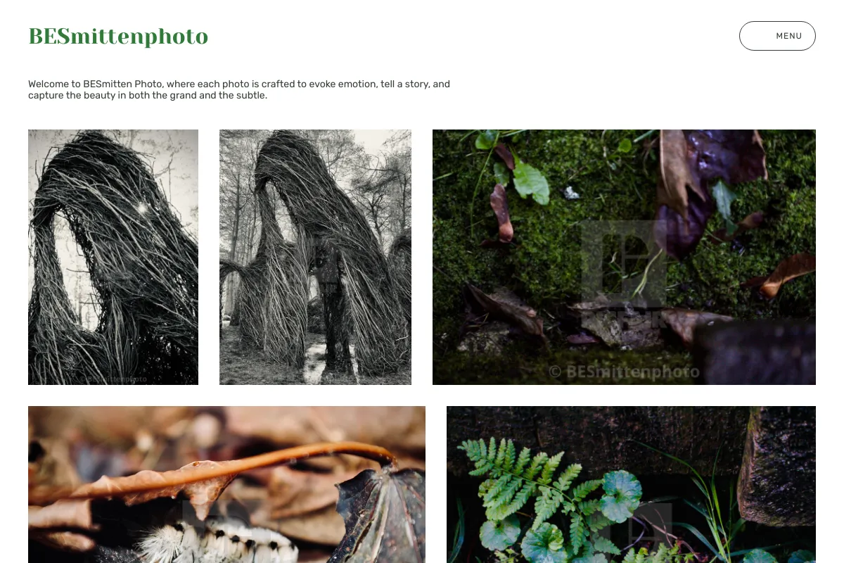 BESmittenphoto