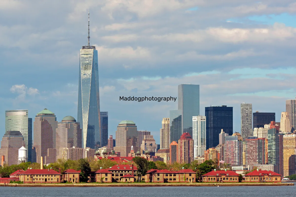 Maddogphotography