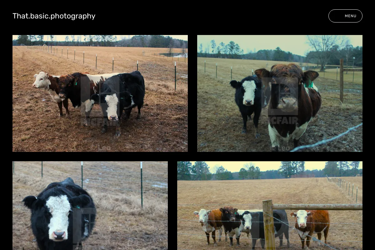 That.basic.photography