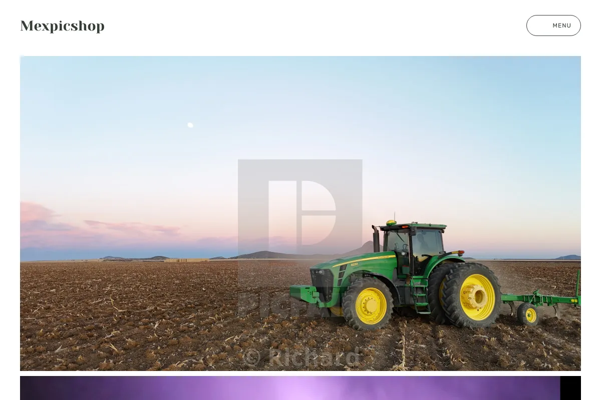 Mexpicshop