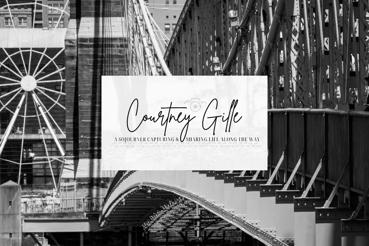courtneygillephotography