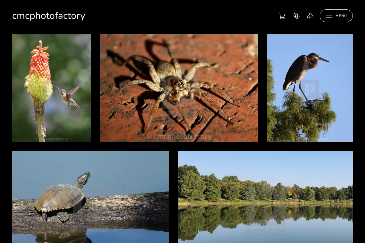 cmcphotofactory
