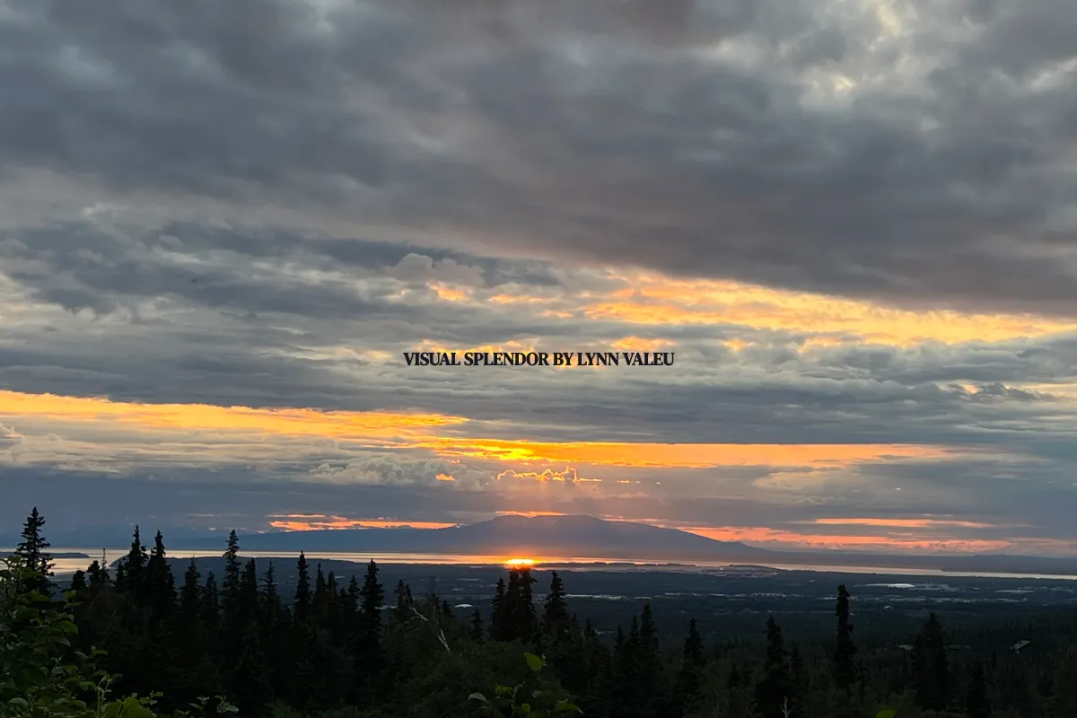 Visual Splendor by Lynn Valeu