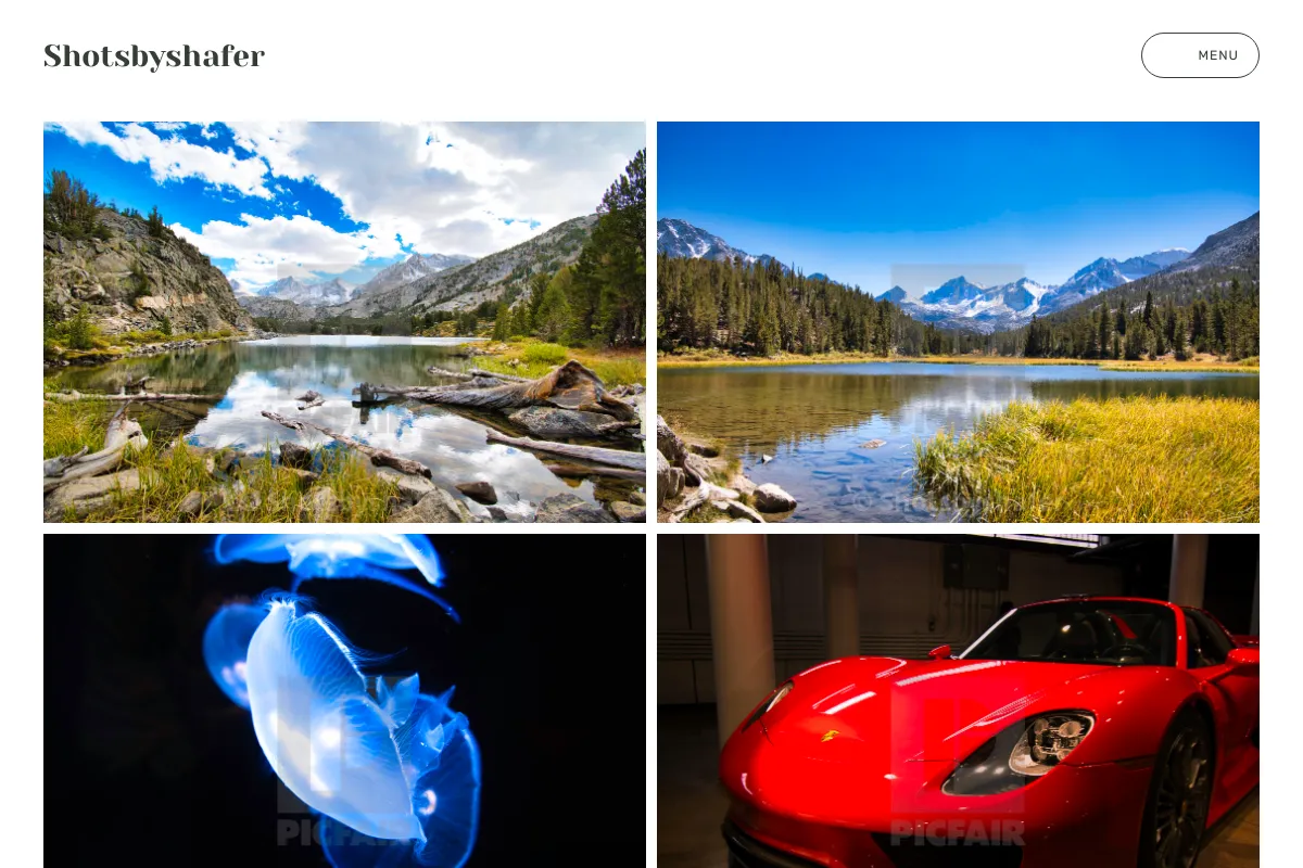 Shotsbyshafer