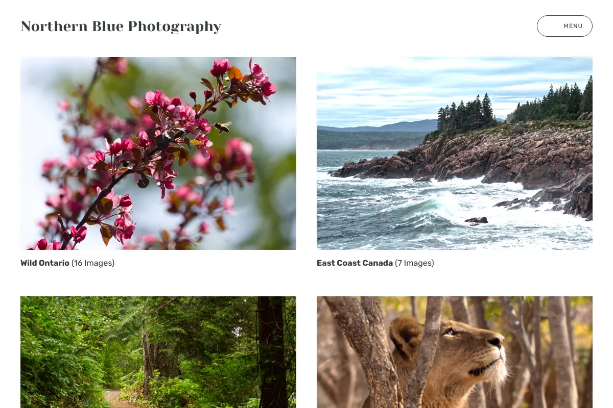 Northern Blue Photography