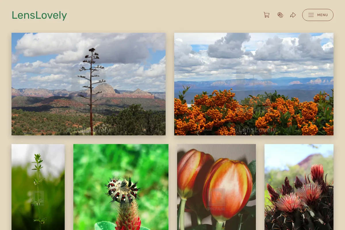 LensLovely