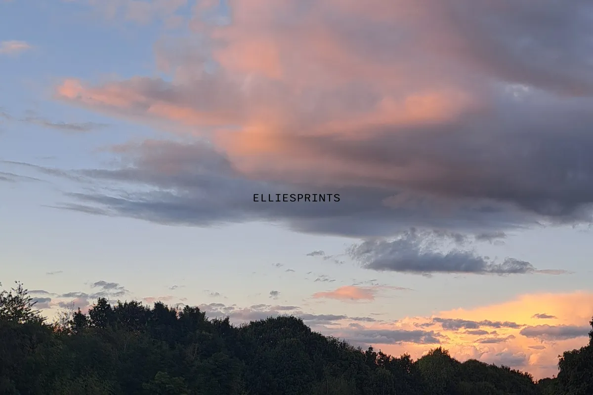 elliesprints