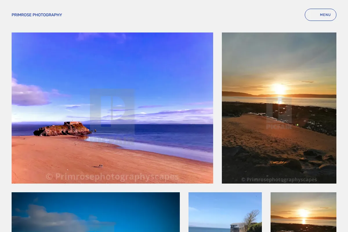 Primrose Photography