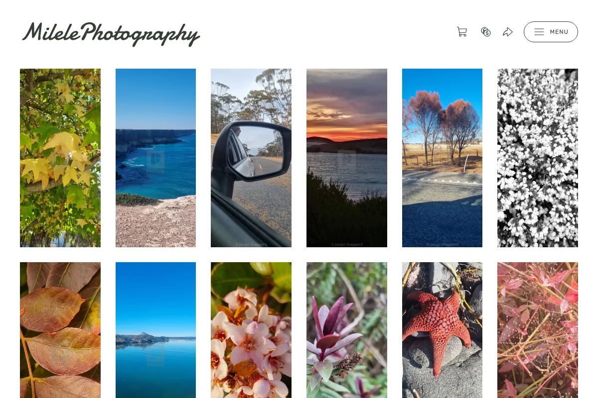 MilelePhotography