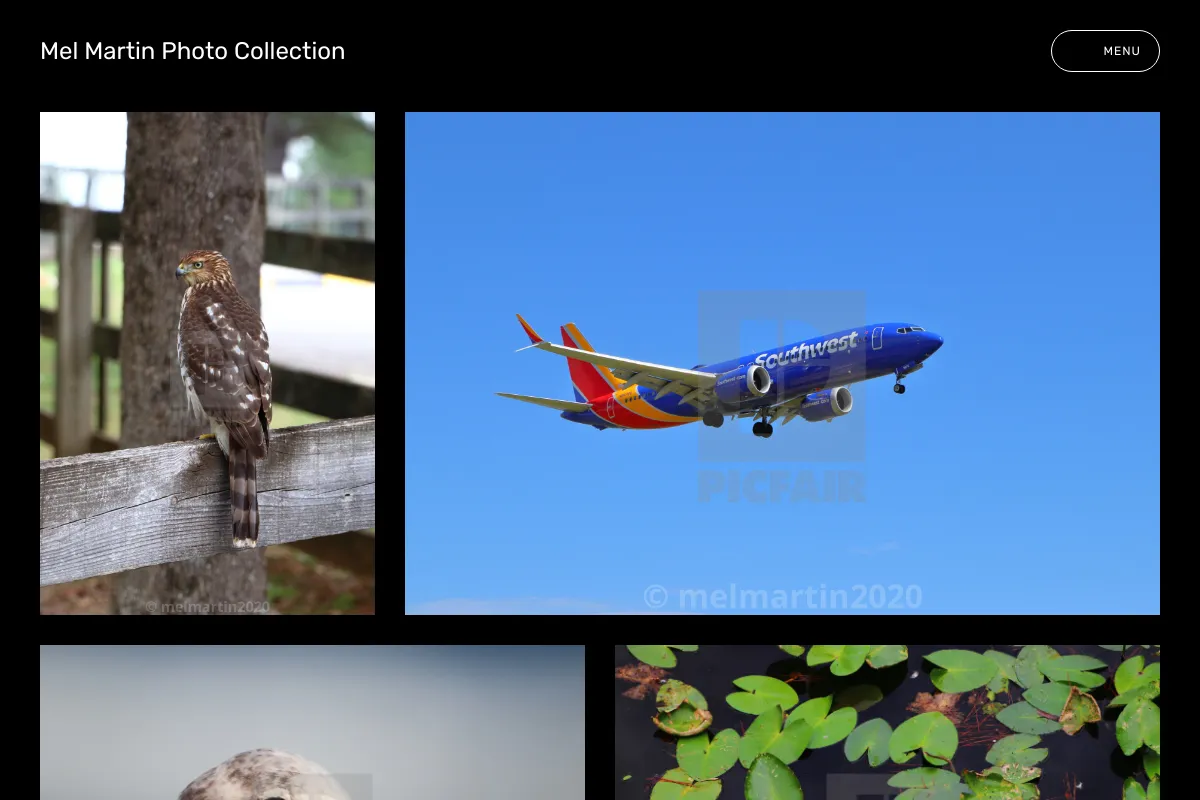 Mel Martin Photo Collection