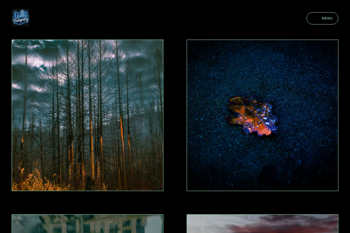 LuisPhotography