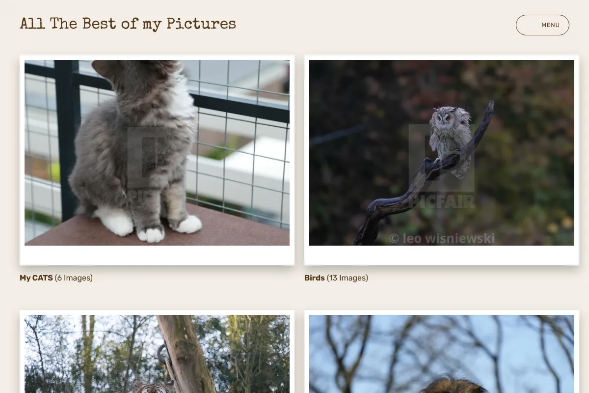 All The Best of my Pictures