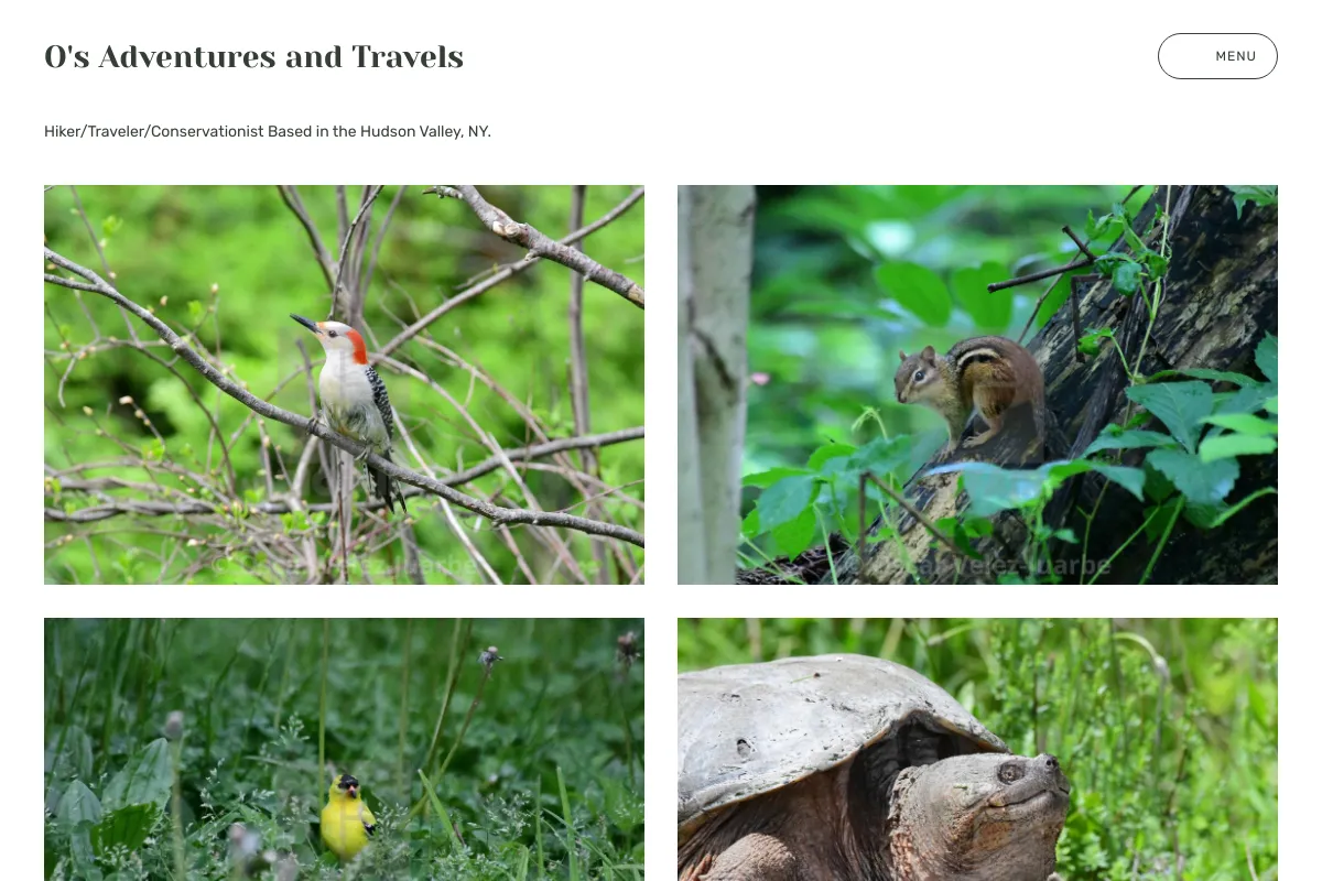 O's Adventures and Travels