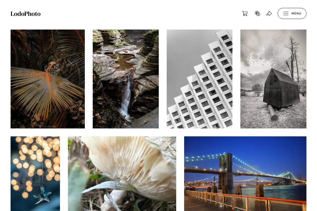 LodoPhoto