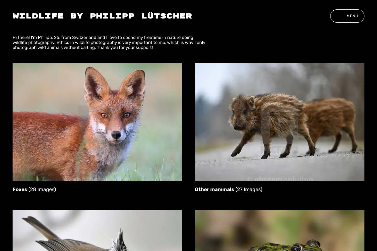 Wildlife by Philipp Lütscher