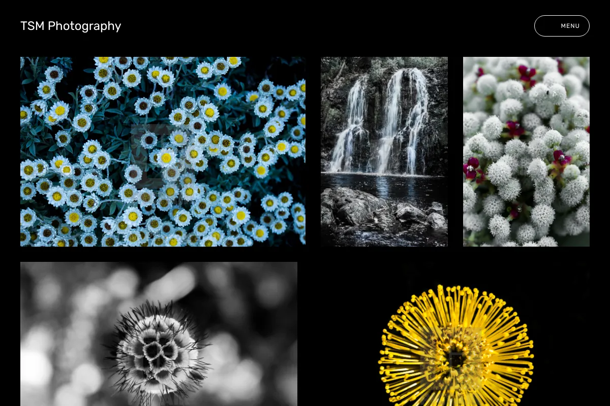 TSM Photography