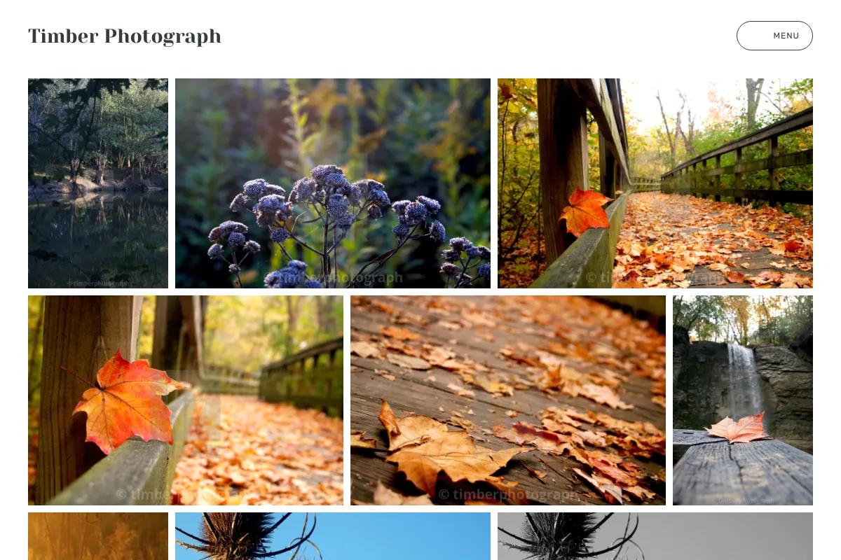 Timber Photograph