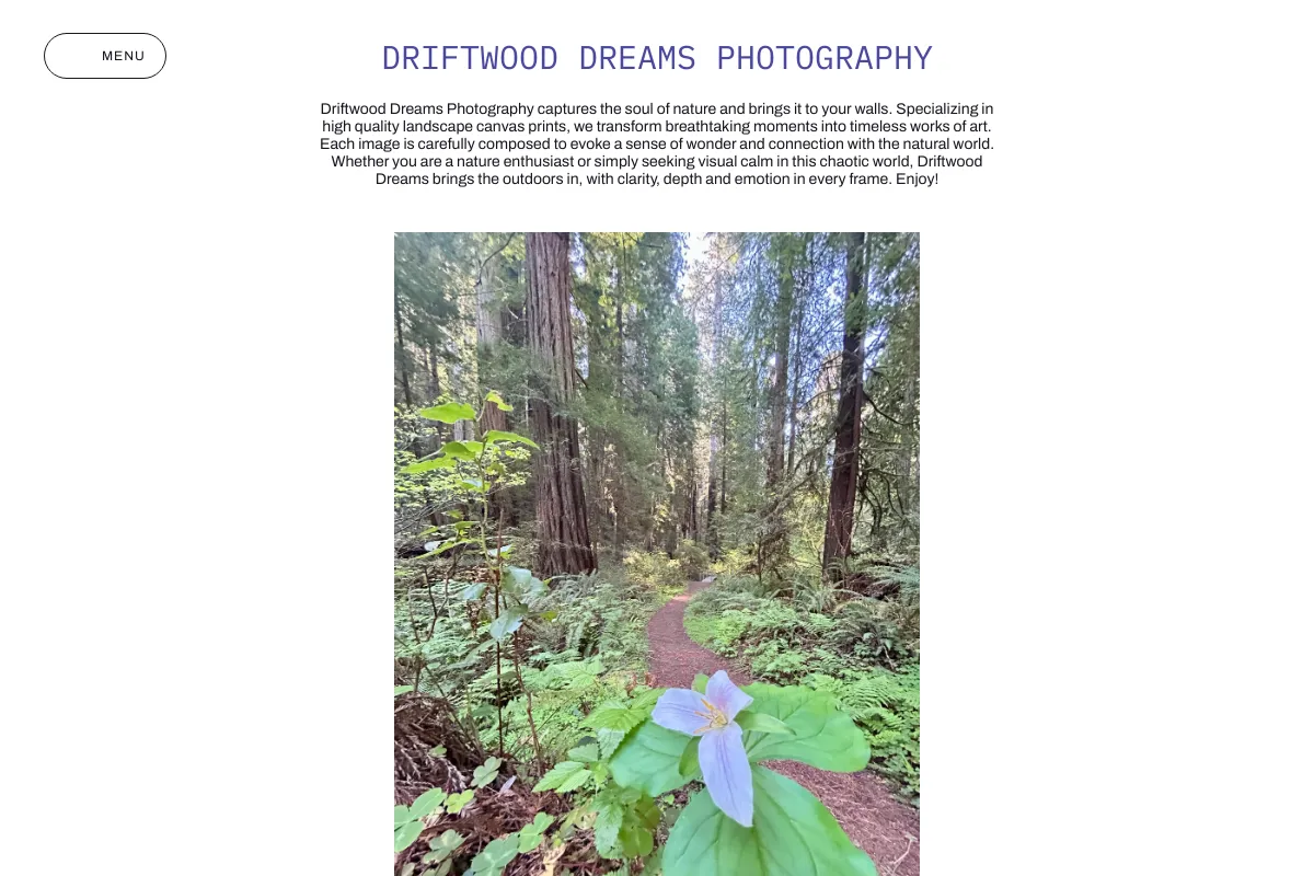 Driftwood Dreams Photography