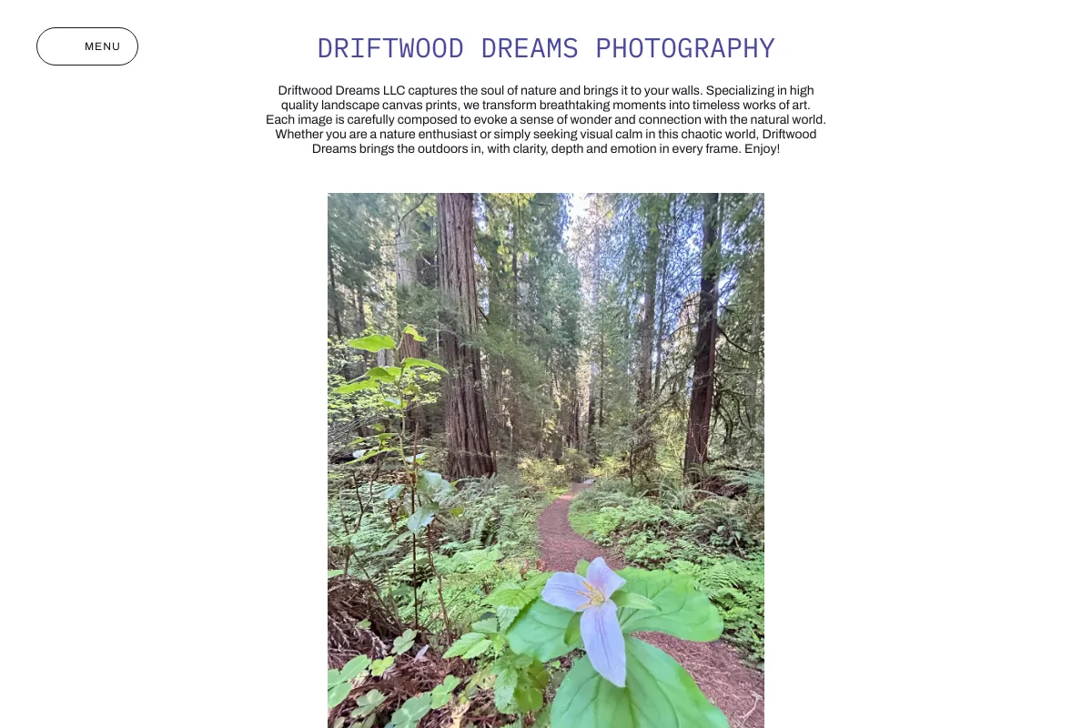 Driftwood Dreams Photography
