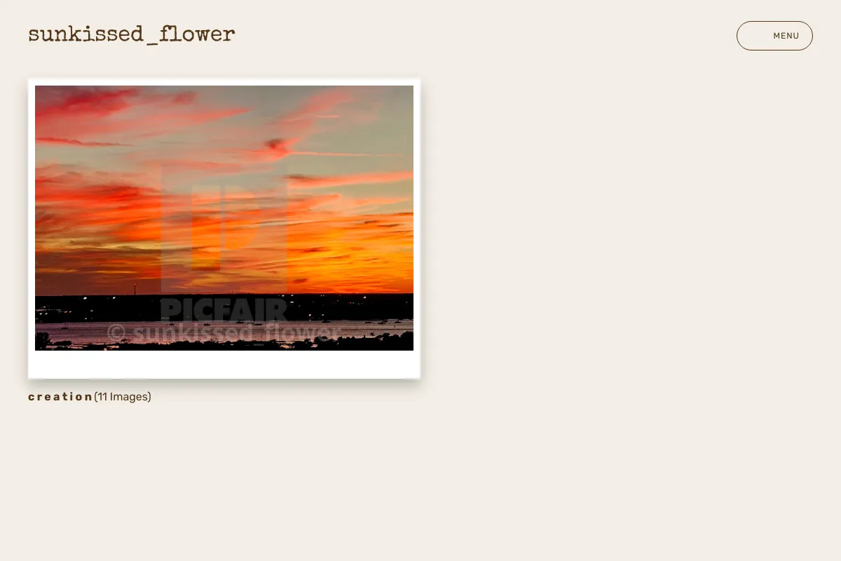 sunkissed_flower