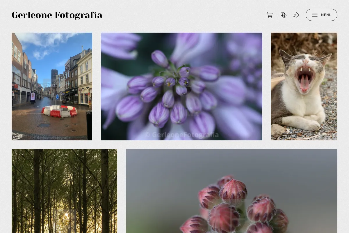 Gerleone Fotografía 