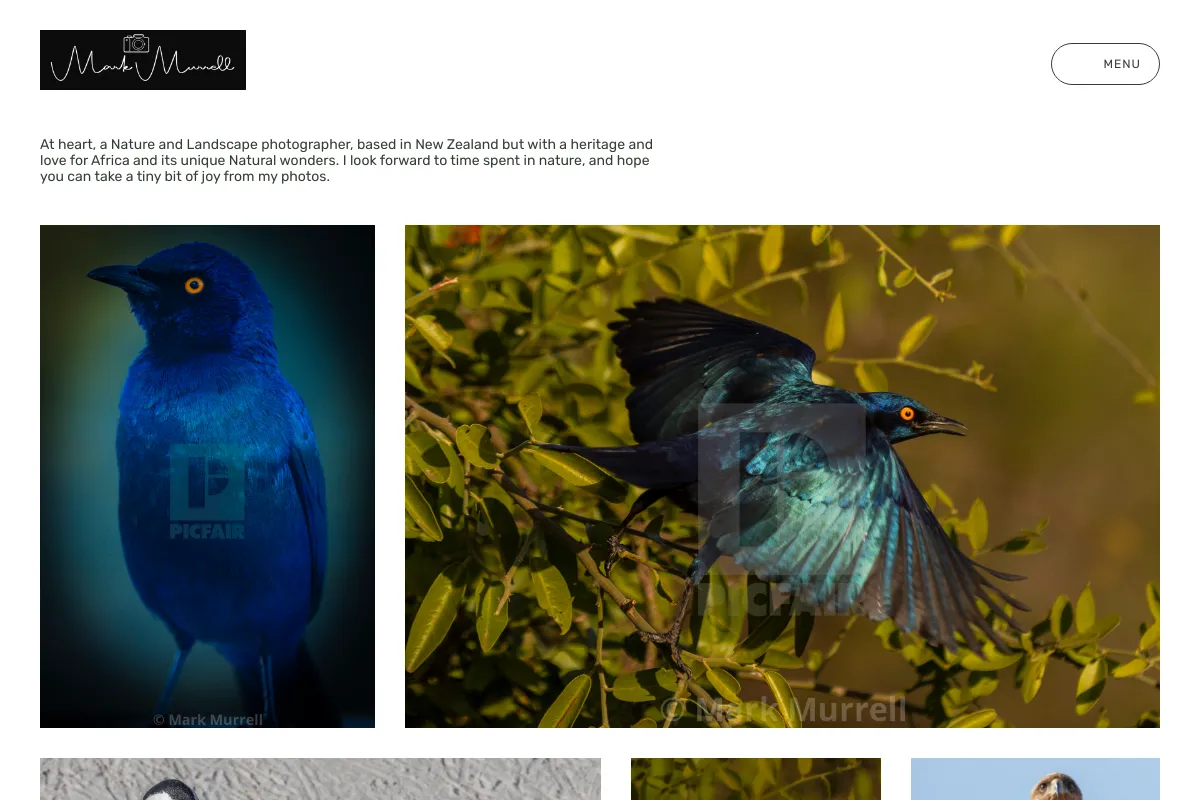 Nature by Mark - Mark Murrell Photography
