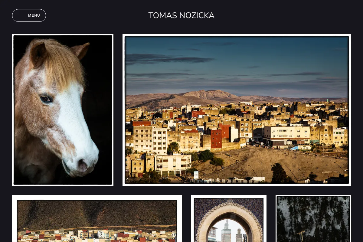 tomas nozicka