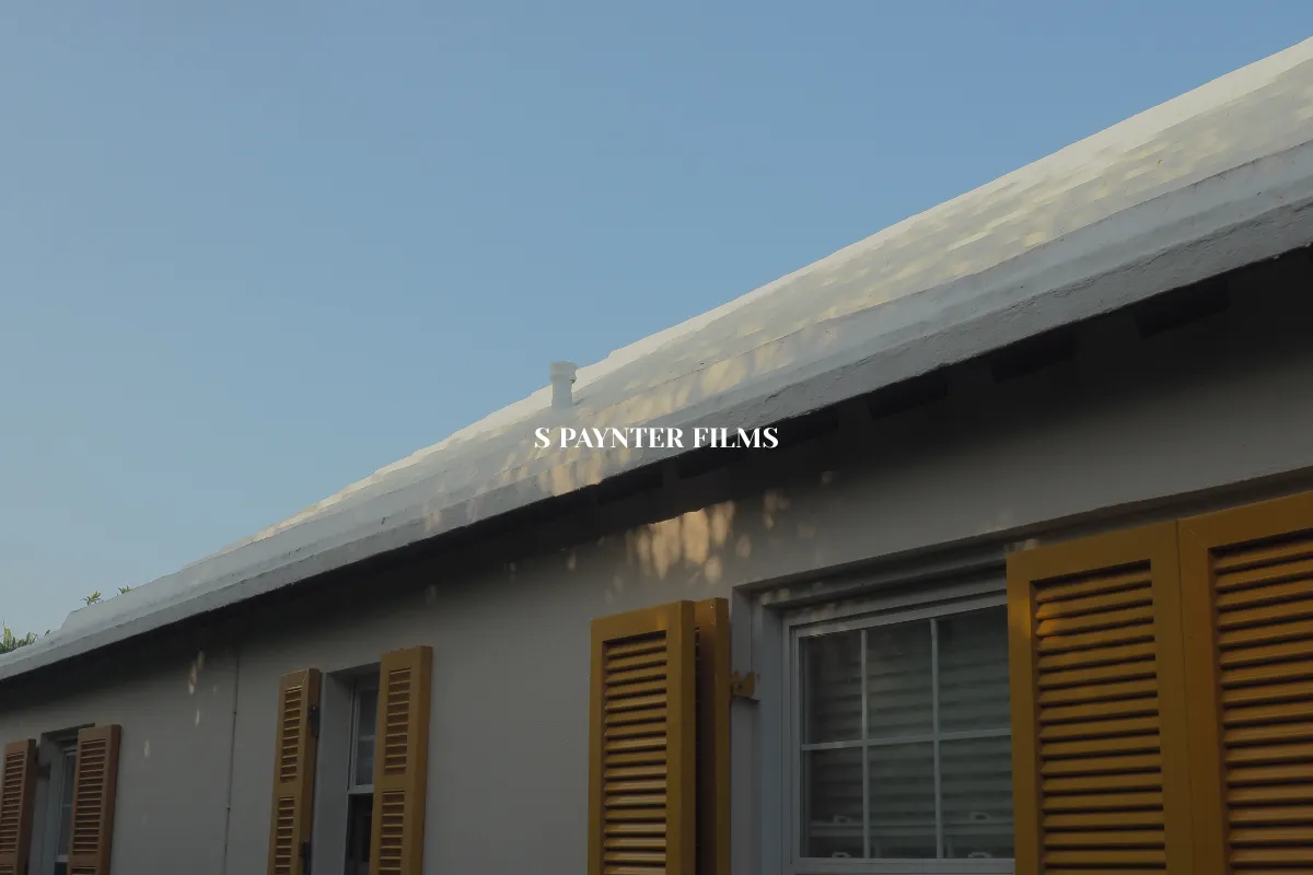 S Paynter Films