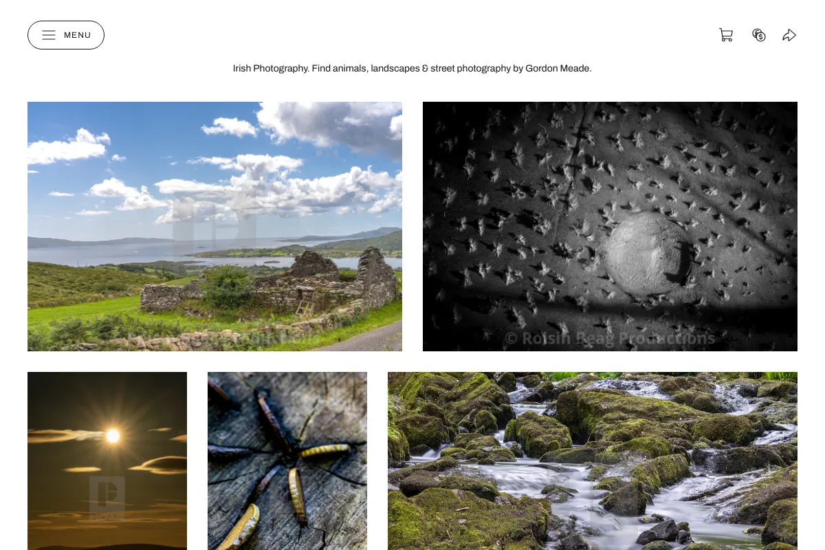 Gordon Meade Photography 