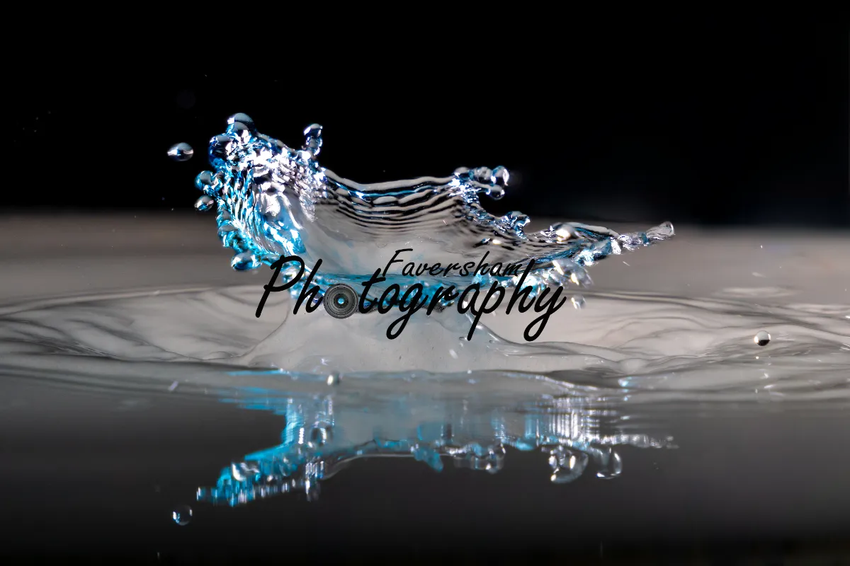 Faversham Photography