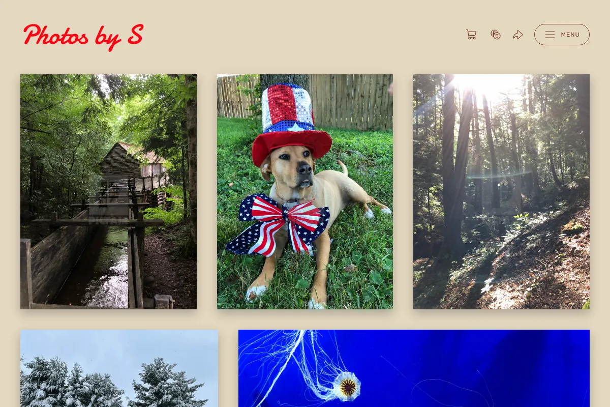 Photos by S