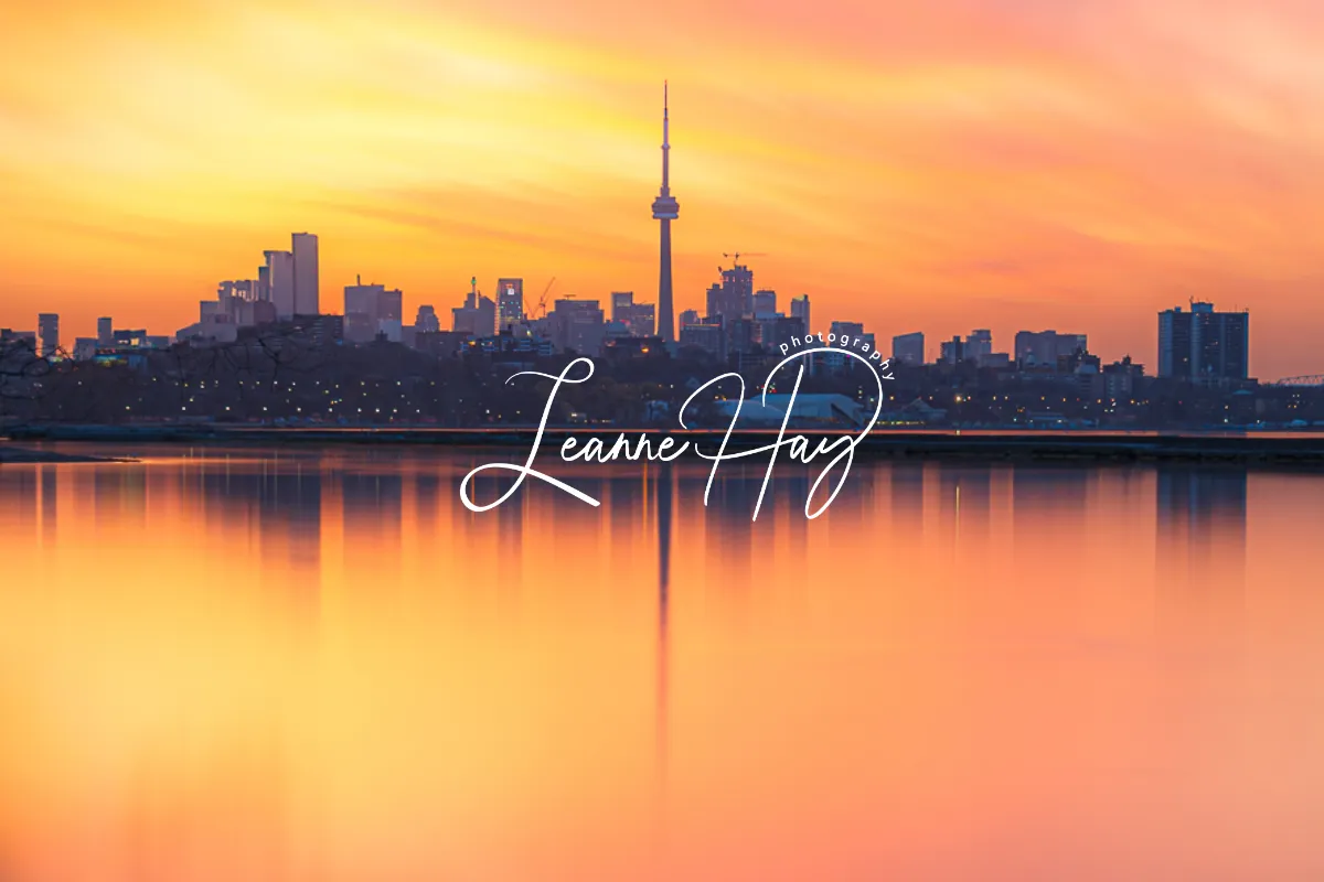 www.leannehayphotography.com