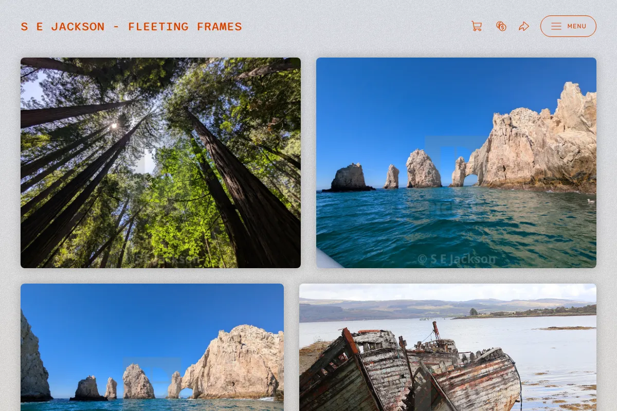 S E Jackson - Fleeting Frames