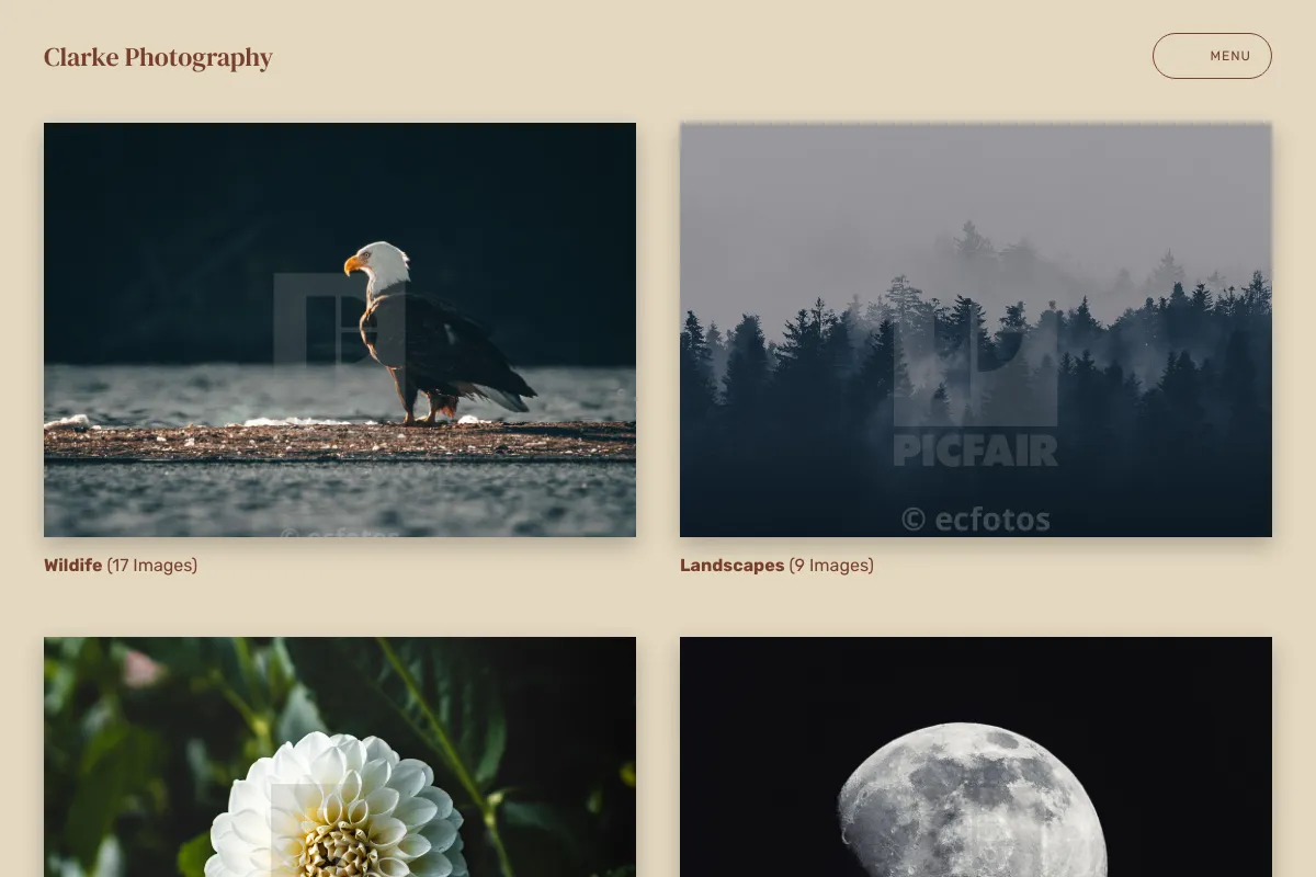 Clarke Photography