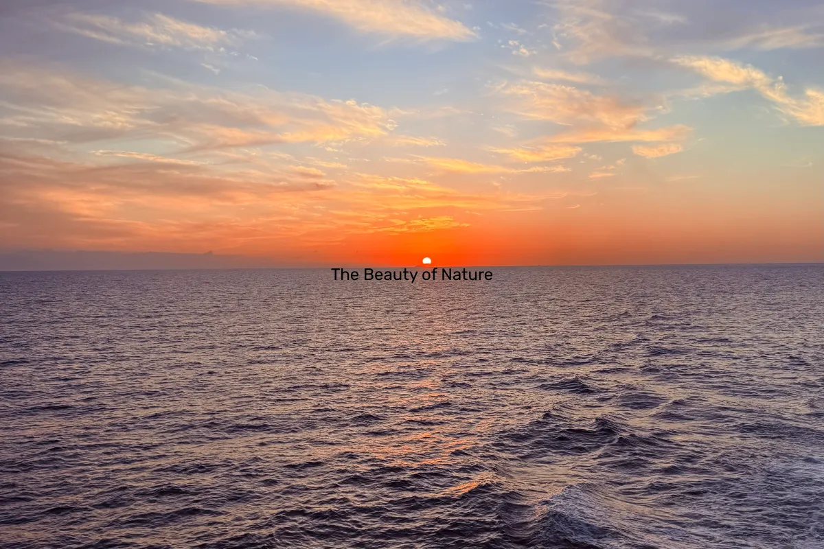 The Beauty of Nature 
