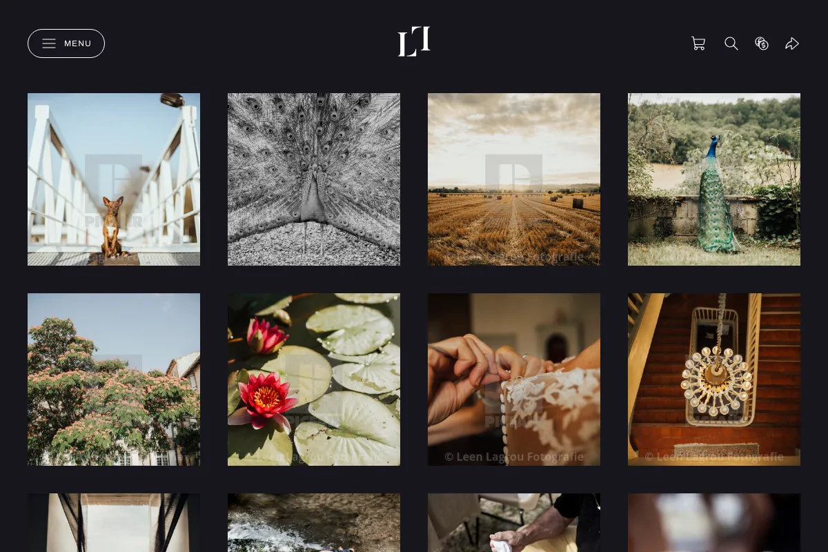 Leen Lagrou Fotografie