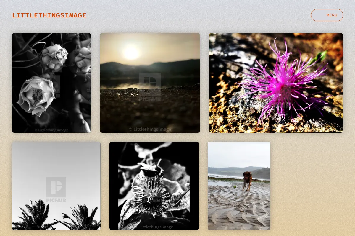 Littlethingsimage