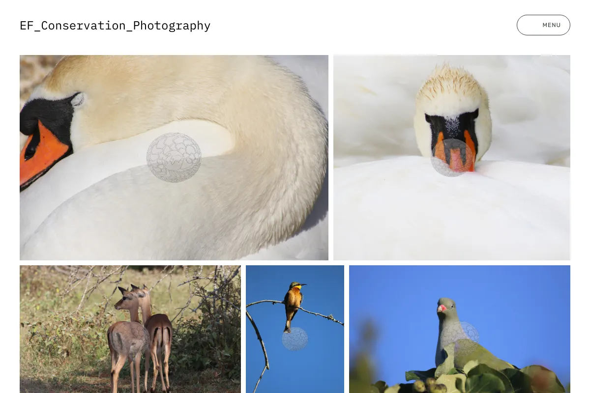 EF_Conservation_Photography