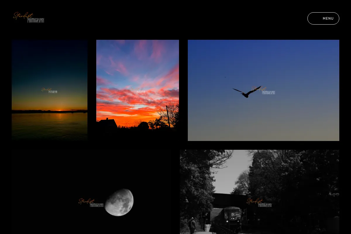 Stardust Photography