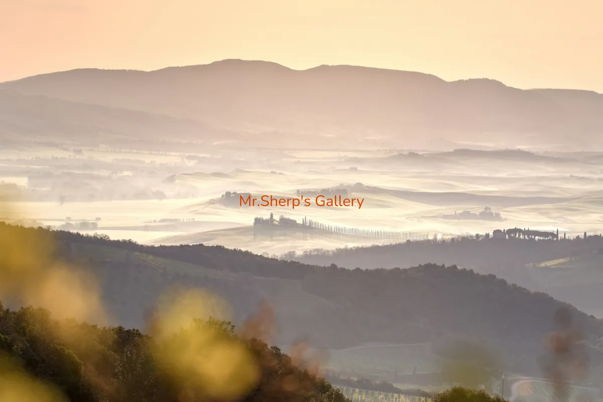 Mr.Sherp's Gallery
