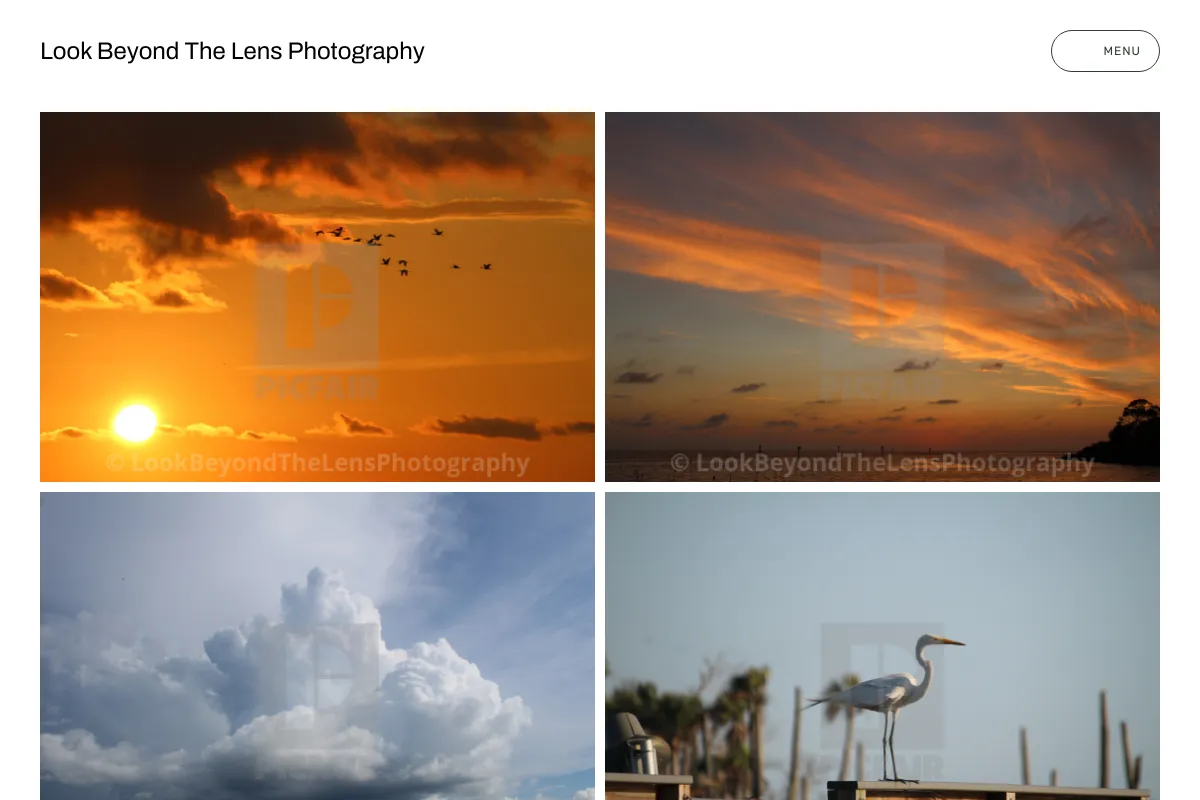 Look Beyond The Lens Photography