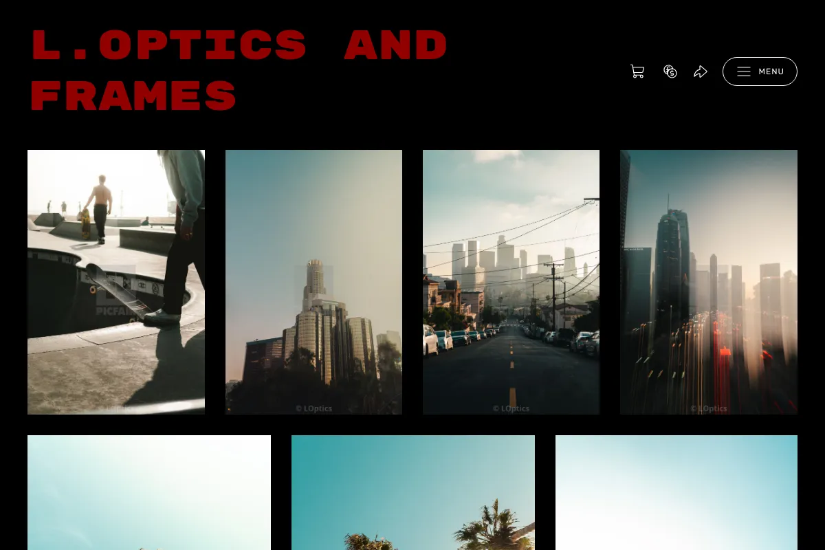 L.optics and frames