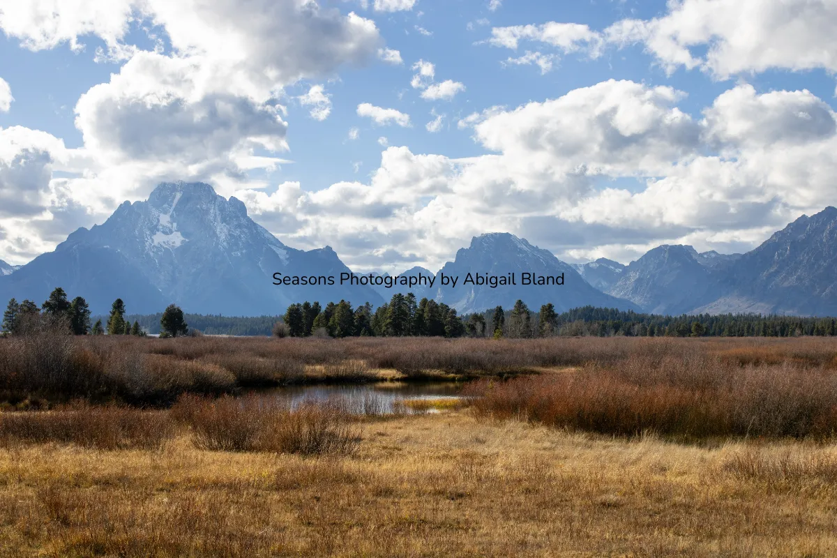 Seasons Photography by Abigail Bland