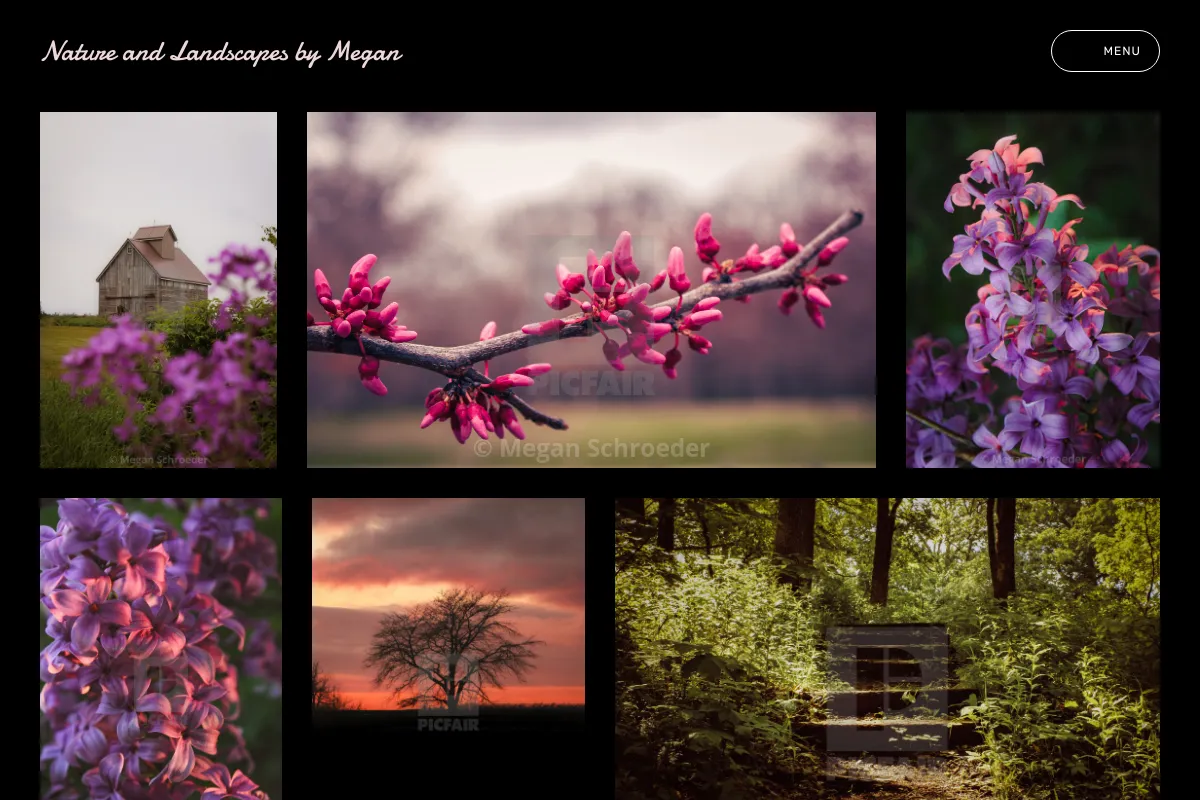 Nature and Landscapes by Megan 