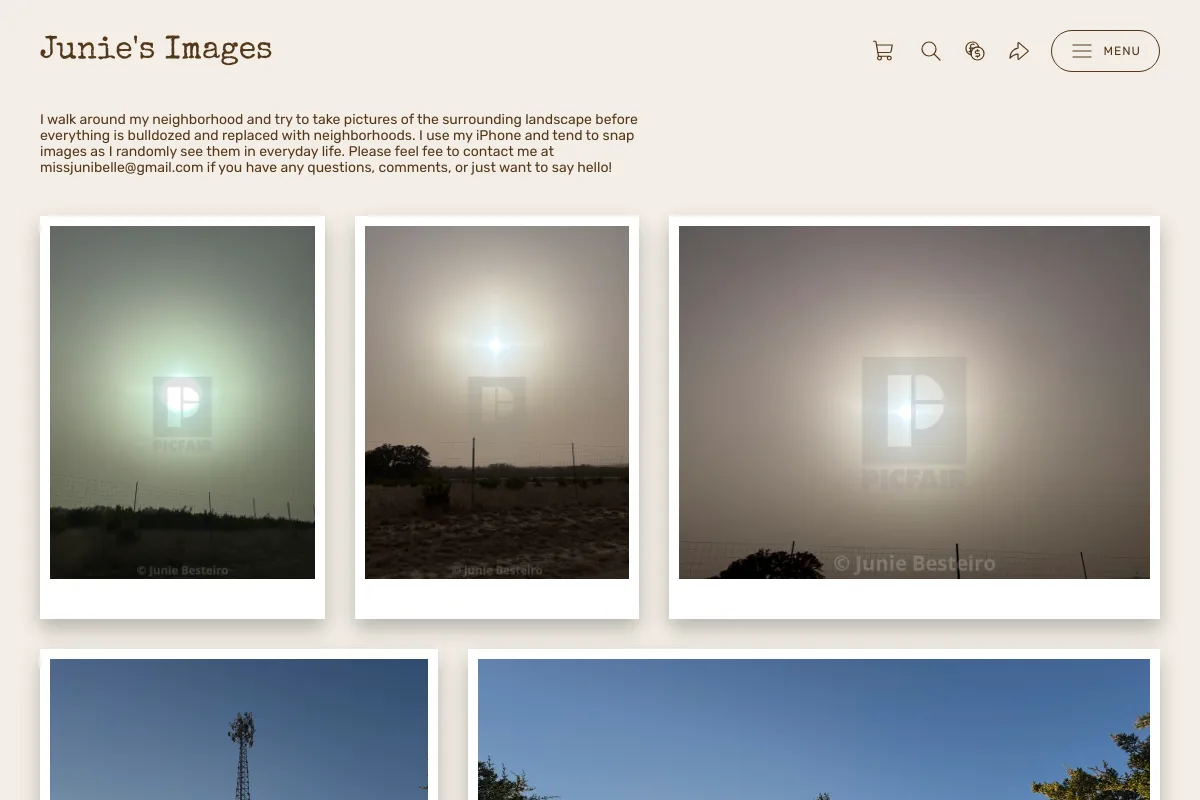Junie's Images