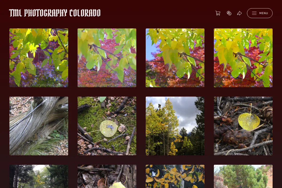 TML Photography Colorado
