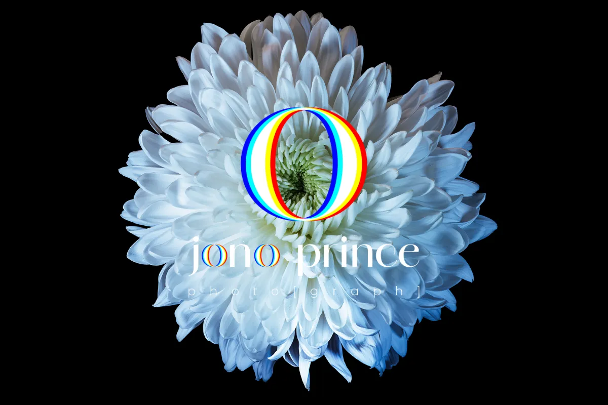 Jono Prince Photo[graph]