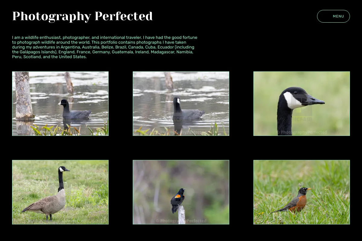 Photography  Perfected